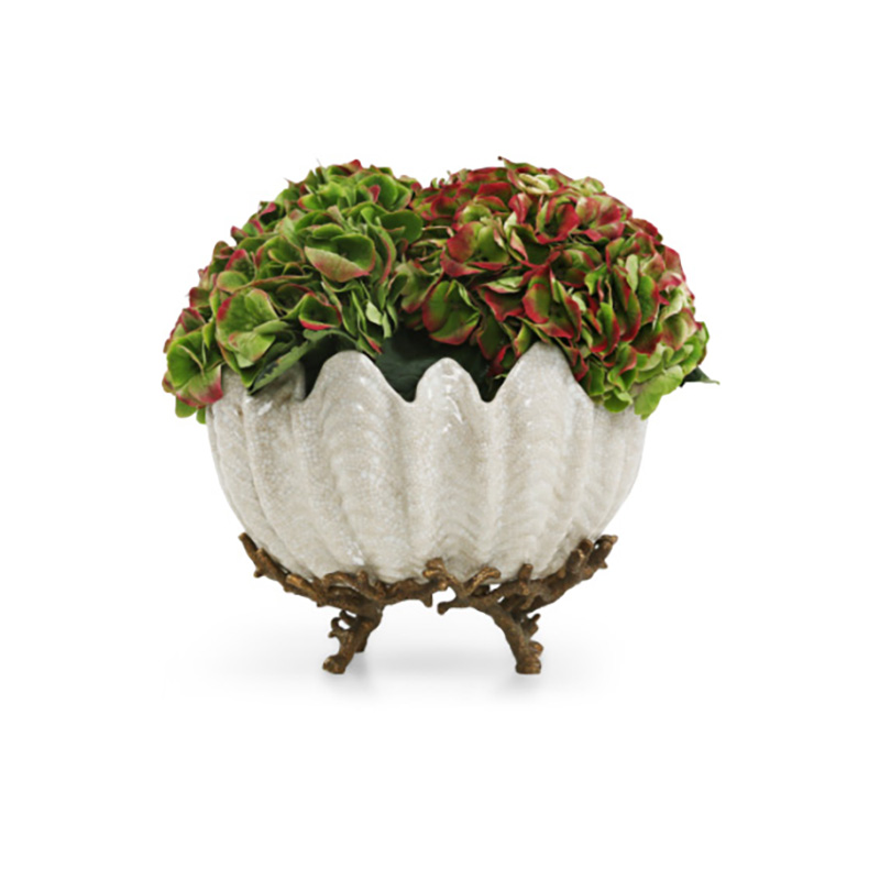 Shell Planter